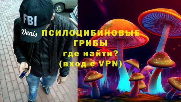 ПСИЛОЦИБИНОВЫЕ ГРИБЫ Абинск