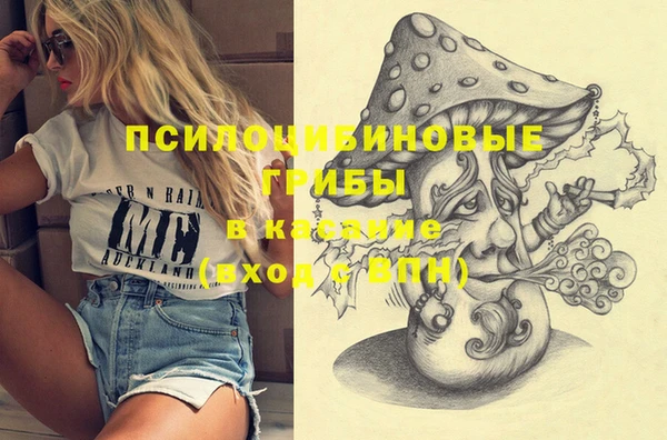 не бодяженный Абаза